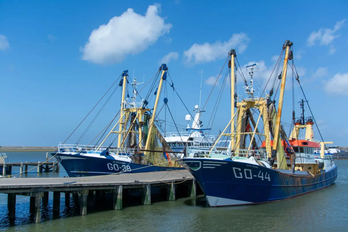 Boten in een Nederlandse vissershaven